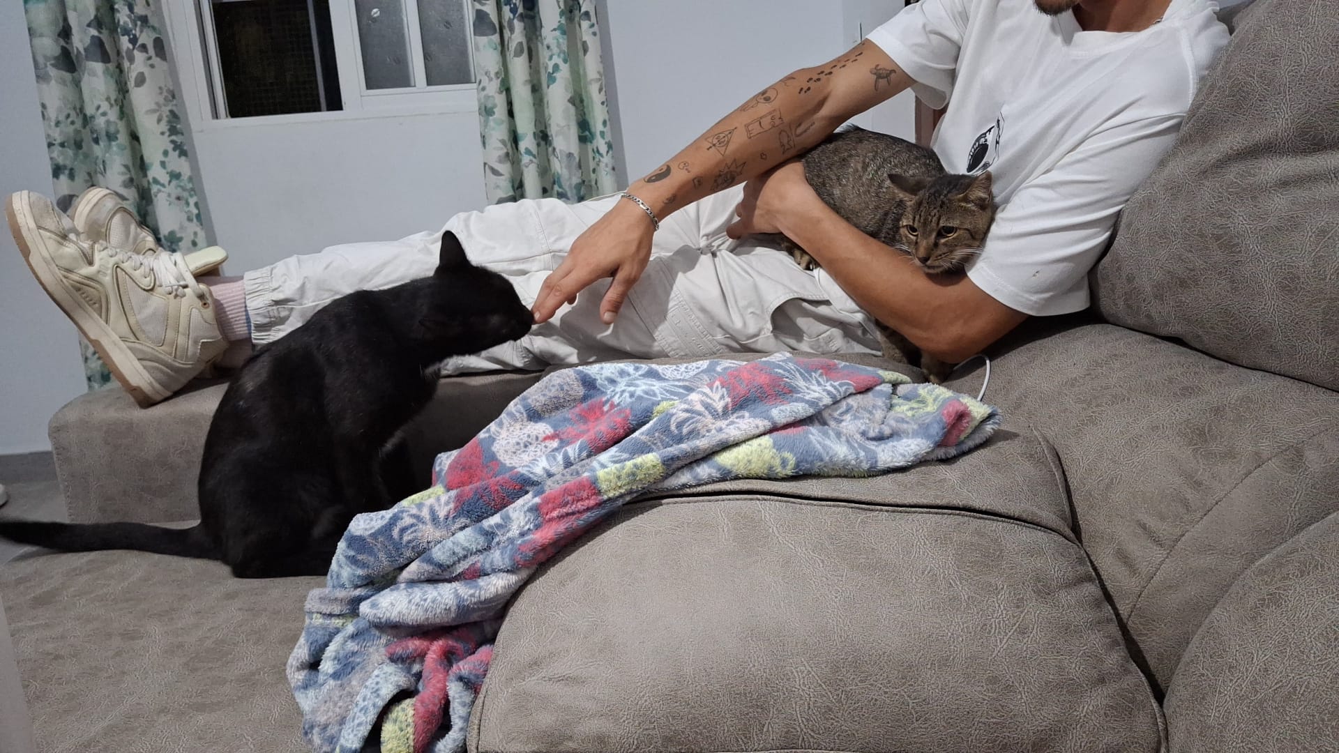 Tigre en su nuevo hogar